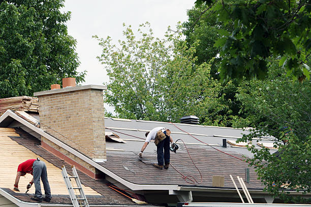 Best Roof Gutter Cleaning  in Colonia, NJ