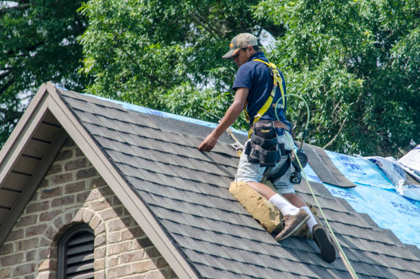 Best Storm Damage Roof Repair  in Colonia, NJ